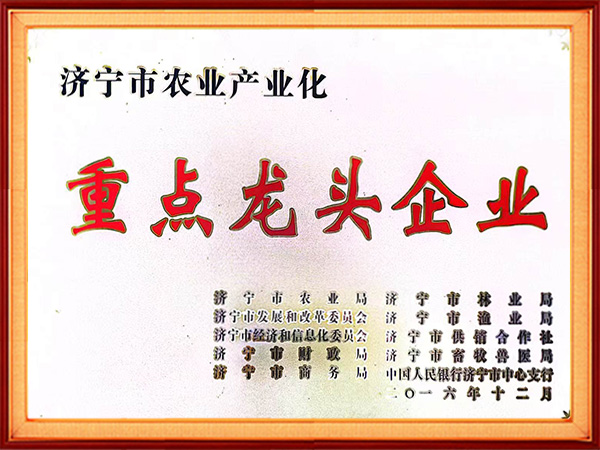重点龙头企业