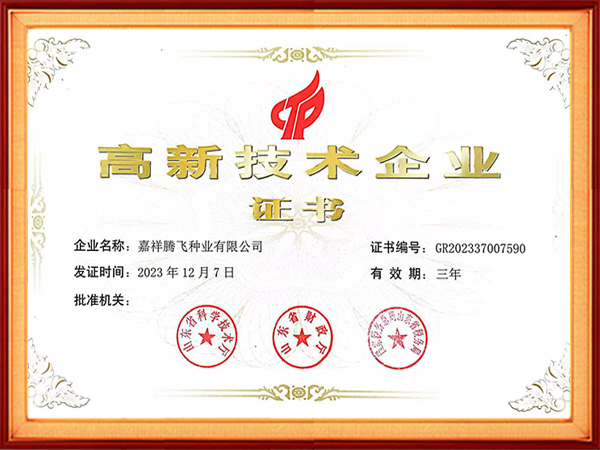 高新技术企业证书