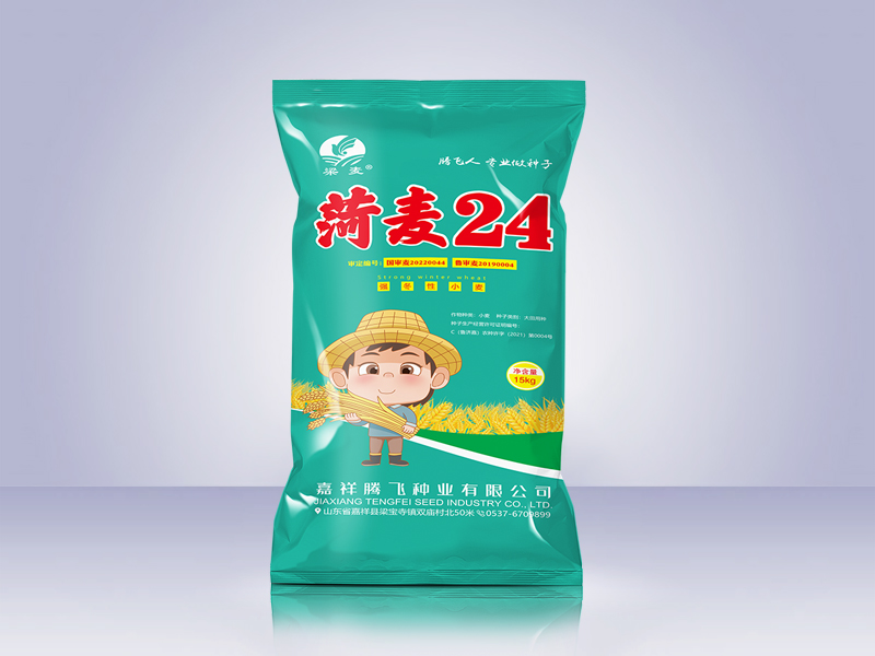 菏麦24