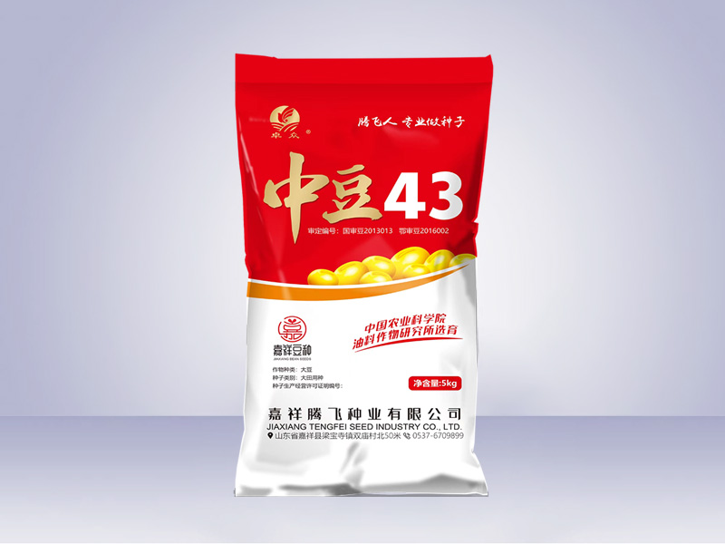 中豆43