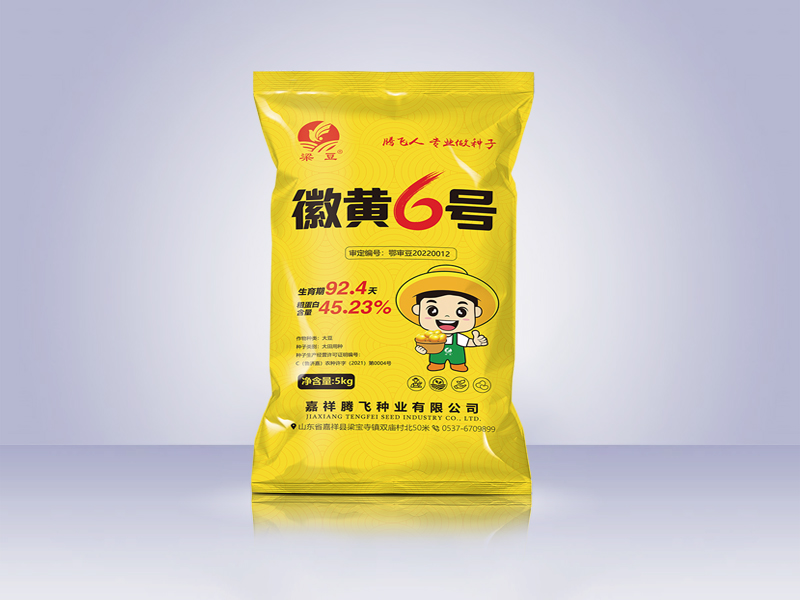 大豆种子